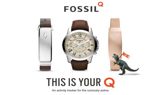 Fossil-Q