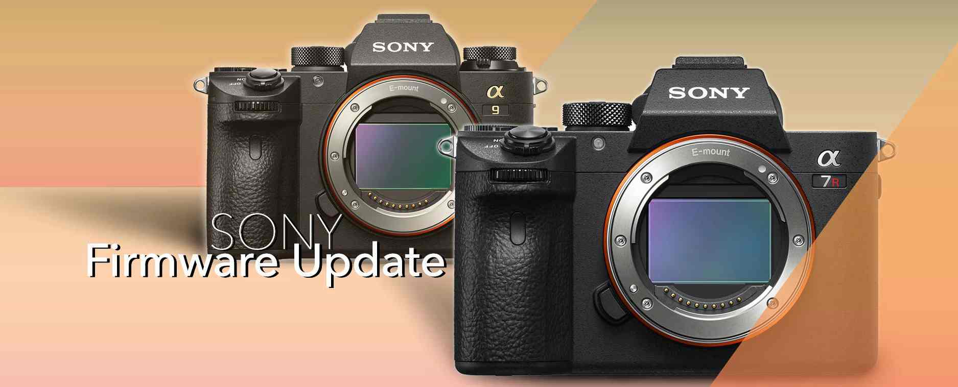 sony mirrorless camera updates
