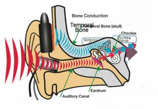 Bone Conduction Headphones How Do they Work