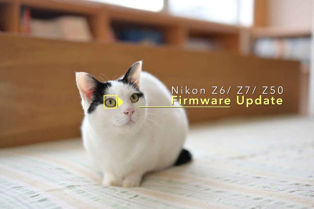 z50 nikon, z7 nikon, Nikon Z6 Firmware Update 3.00
