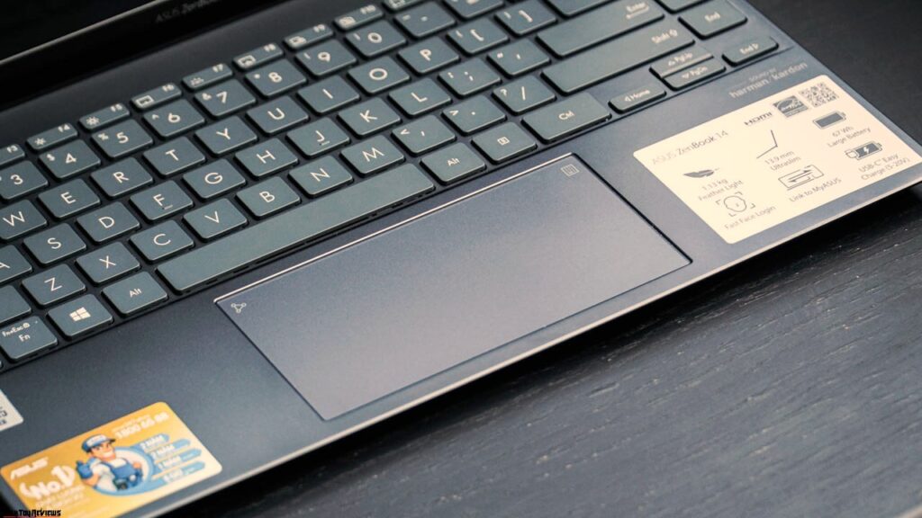 Asus ZenBook 14 UX425JA Review