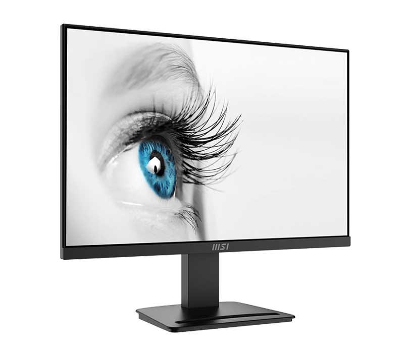 Best cheap monitor for coding MSI Pro MP2412C