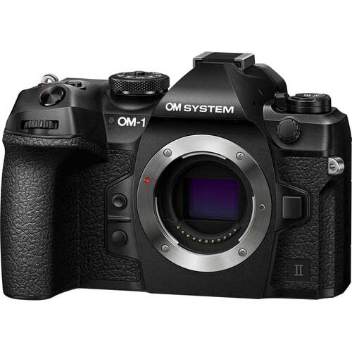 M.Zuiko Digital ED 9-18mm f/4-5.6 II and the M.Zuiko Digital ED 150-600mm f/5-6.3 IS. Olympus OM1 Mark II camera 