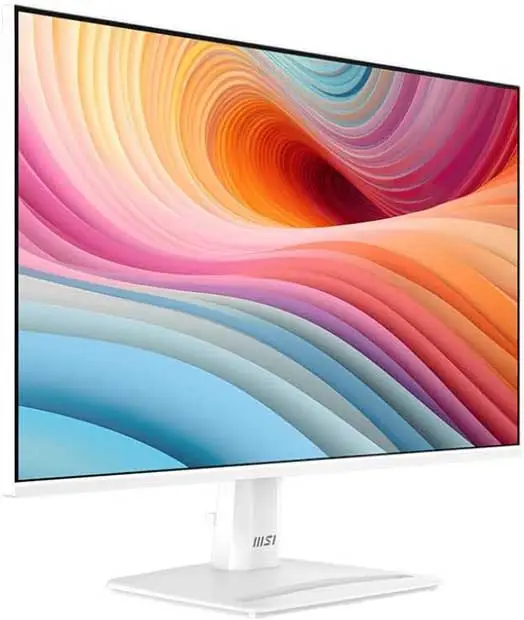 MSI PRO MP251W E2 price and release date